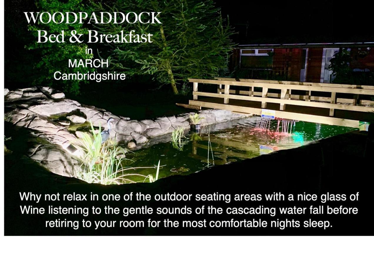 Woodpaddock Bed & Breakfast Марч Екстер'єр фото